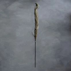 Abigail Ahern Single Pampas