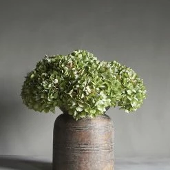 Abigail Ahern Hydrangea Moss Green Faux Stem
