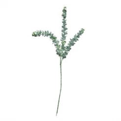 Abigail Ahern Eucalyptus Sage Faux Stem