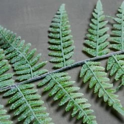 Abigail Ahern Fern Stem