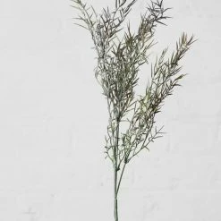 Abigail Ahern Honey Myrtle Stem