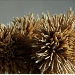 Abigail Ahern Dahlia Hazel