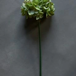 Abigail Ahern Hydrangea Moss Green Faux Stem