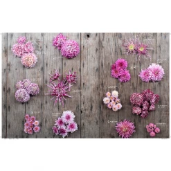 Chronicle Books Floret Farms: A Year In Flowers